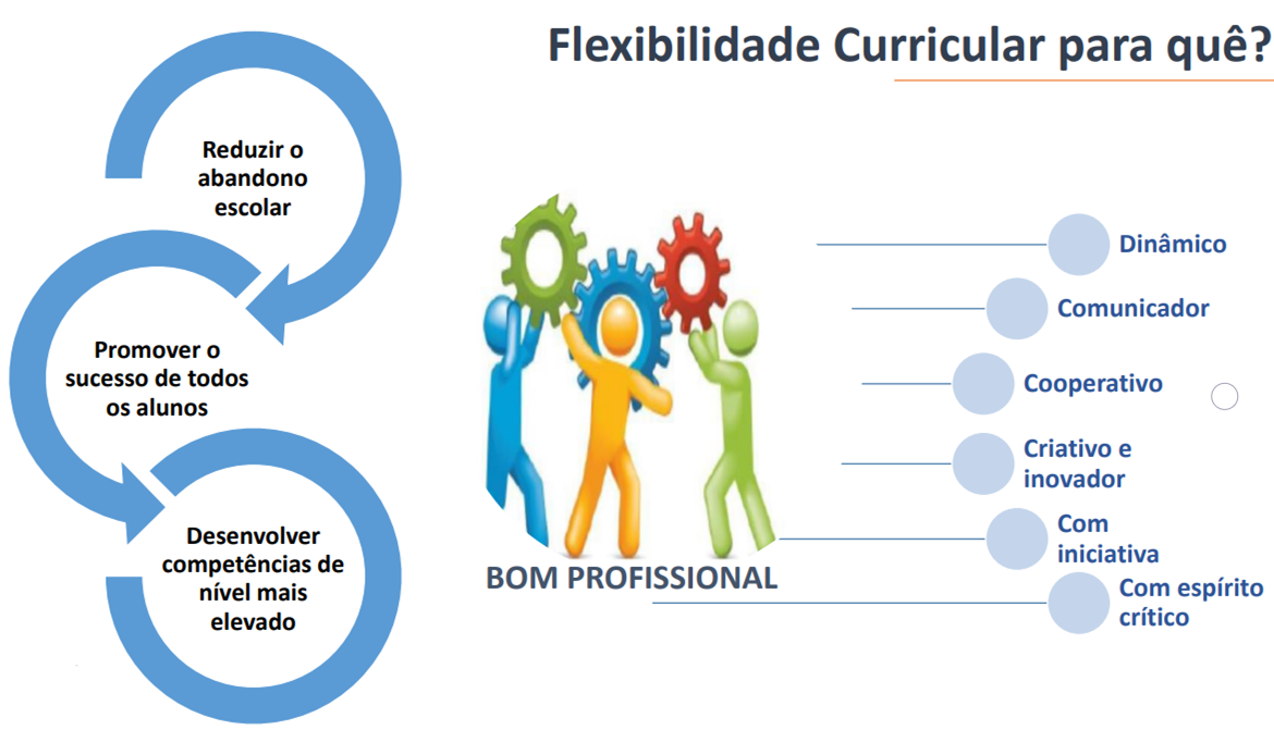 Curriculo Flexivel